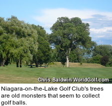 Niagara-on-the-Lake Golf Club - Trees