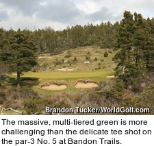 The massive, multi-tiered green is more challenging than the delicate tee shot on the par-3 No. 5 at Bandon Trails.