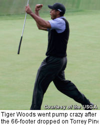 Tiger Woods went pump crazy after the 66-footer dropped on Torrey Pines' 13th green.