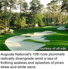 Augusta National's 10th hole plummets radically downgrade amid a sea of frothing azaleas and splashes of pines straw and white sand.