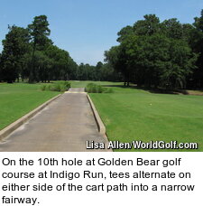 Golden Bear Golf Club at Indigo Run - hole 10
