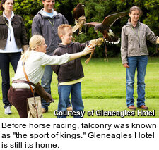 Gleneagles Hotel - falconry