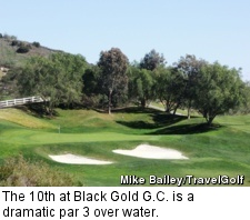 Black Gold Golf Club - No. 10