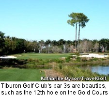 Tiburon Golf Club - Gold Course - 12th
