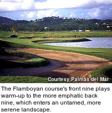The Flamboyan course's front nine plays warm-up to the more emphatic back nine, which enters an untamed, more serene landscape.