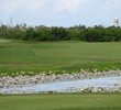 Cozumel Country Club