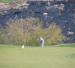 TPC Canyons Golf Course - Desert Bush