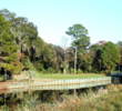Palmetto Dunes' Hills Course - 17th