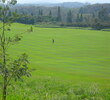 The Plantation Course - Fairway