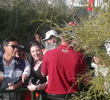 Henrik Stenson - WGC Accenture Match Play Championship