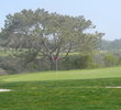 Torrey Pines - 2008 U.S. Open course
