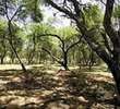 Waterberg