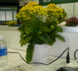 U.S. Women's Open - Flowers