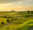 The Bridges Golf Club