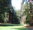 Northwood Golf Club - Tight Opening