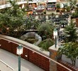 Embassy Suites Lake Tahoe Hotel - Atrium