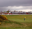 Old Course at Musselburgh Links