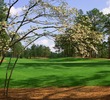 Pinehurst No. 8 golf course - hole 1