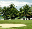 Palm course