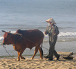vietnam - ocean dunes resort