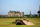 Old Course at St. Andrews - Fairways