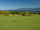 Polson Bay Golf Club - hole 5