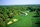 Willbrook Plantation golf course - hole 16