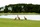 The Pines golf course at Sanctuary Cove