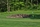 Elks Run Golf Club - hole 15
