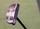 SeeMore Putter - PTM3