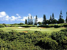Kapalua Plantation