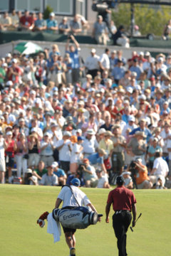 Tiger Woods