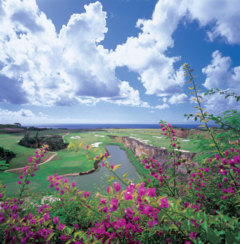 Green Monkey Course