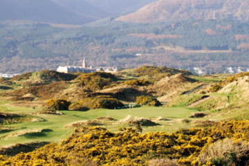 Royal County Down No. 4