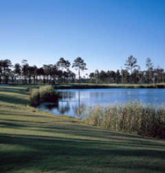 Gray Plantation - No. 16