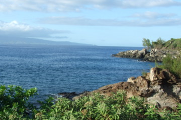 Maui Beach
