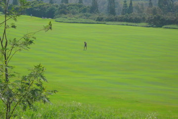 The Plantation Course - Fairway