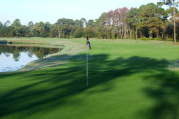 Palmetto Hall -  Hills Course