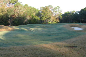 Heron Point Golf Course - Green Complexes