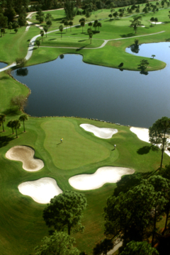 Palm Golf Course at Walt Disney World - No.16