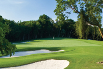 Blue Shark Golf Club