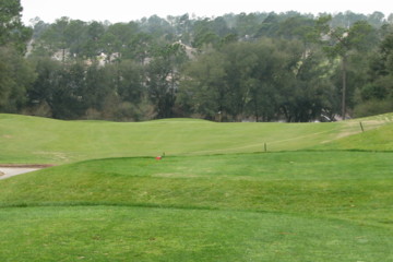 Marcus Pointe Golf Club - No.10