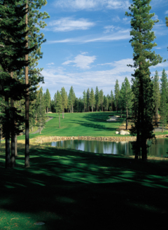 Coyote Moon Golf Course