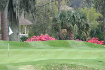 The Oakridge Golf Course