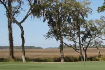 The Plantation Course - Marshes