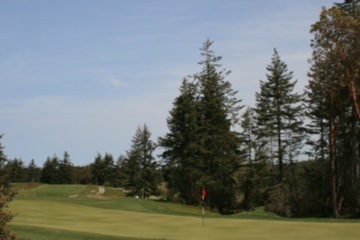 Bandon Crossings Golf Course - Grass Greens