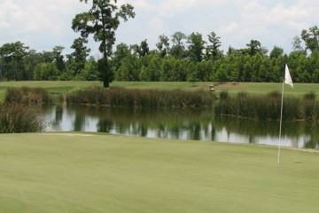 TPC Louisiana Golf Course - Greens