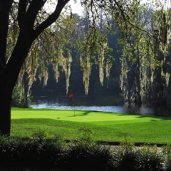Island Course at Innisbrook Resort - Hole 18