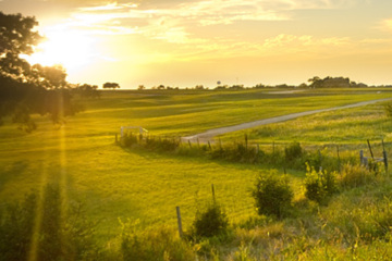 The Bridges Golf Club