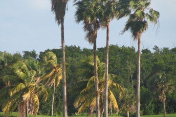 Crandon Park Golf Course